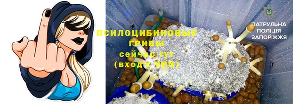 прущие крисы Ачинск